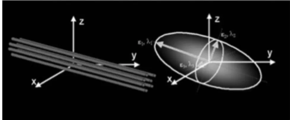 Figure 2.1: The three dimensional ellipsoid model used for diffusion tensor 