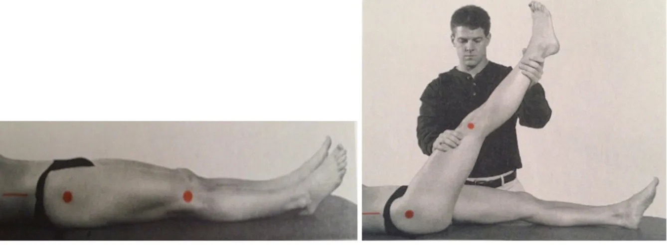 Figure 5: Resting position for straight leg  raise test [20]