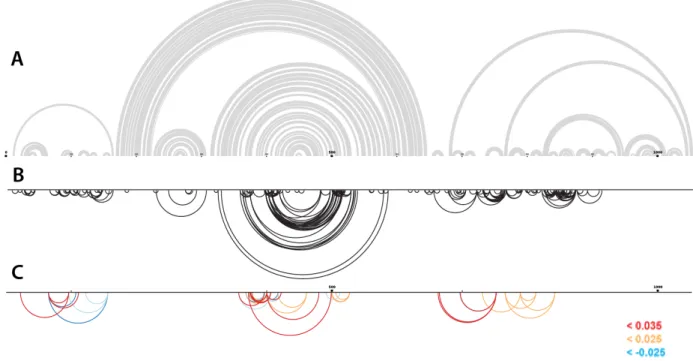 Figure 7. RING-MaP determined correlations for the ex virio RNA. (A) Proposed secondary  structure based on SHAPE data
