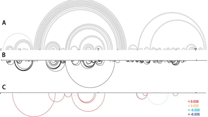 Figure 8. RING-MaP determined correlations for the in virio RNA. (A) Proposed secondary  structure based on SHAPE data