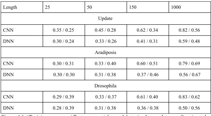 Figure 4.6:  ​(​Training accuracy / Test accuracy) for models trained on update, aradiposis, and  drosophila datasets when repeat elements are fragmented at varying kmer lengths