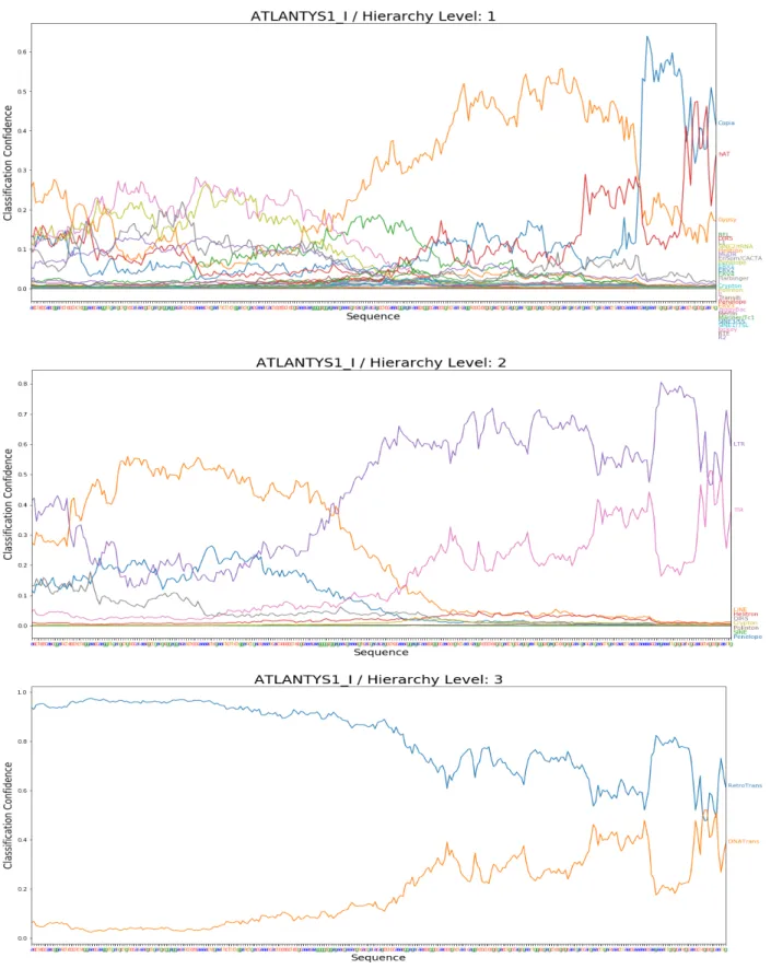 Figure 4.7: Example of classifying unseen Copia element using CNN classification model as a  sliding window across the sequence