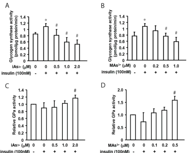 Figure 2. Glycogen synthase (GS) activity in hepatocytes exposed to iAs 3+  (A) or MAs 3+  (B) for 4 hours  with or without insulin treatment (100 nM) for the last 2 hours