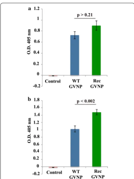 Fig. 2 ELISA for the determination of antibody titres in serum samples derived from control (un-immunized), WT-GVNP and Rec-GVNP-immunized mice