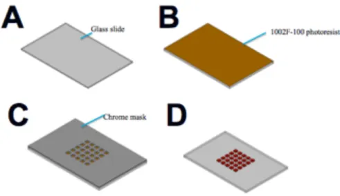 Figure 1. A summary of microarray mold production. (A)-(B) A 75 mm x 50 mm glass slide has photoresist spin  coated on it