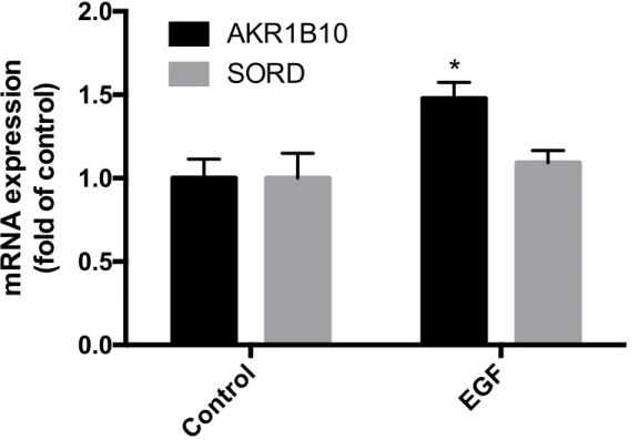 Figure 2.  The effect of EGF exposure on AKR1B10 and SORD mRNA expression in  HepG2 cells (*p<0.05 compared to all other groups) 