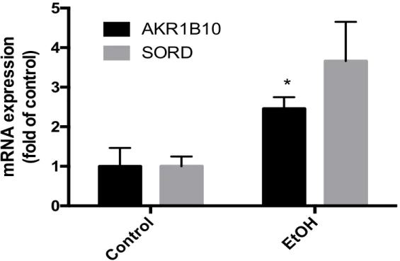 Figure 3. The effect of 24 hour 100 mM ethanol exposure on AKR1B10 and SORD  mRNA expression in VL-17A cells (*p<0.05 compared to all other groups) 