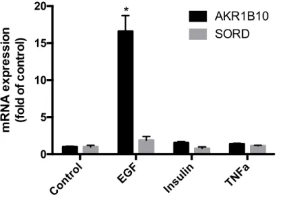 Figure 4. The Effect of EGF, insulin, TNFα on AKR1B10 and SORD mRNA  expression in primary human hepatocytes  (*p<0.05 compared to all other groups) 