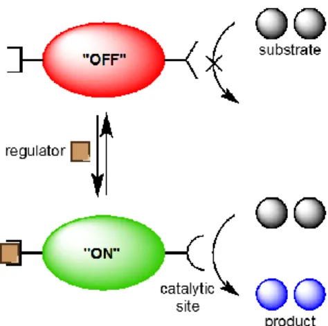 Figure 2. Pincer-crown ether ligand framework attached to a Ni(II) metal center. 