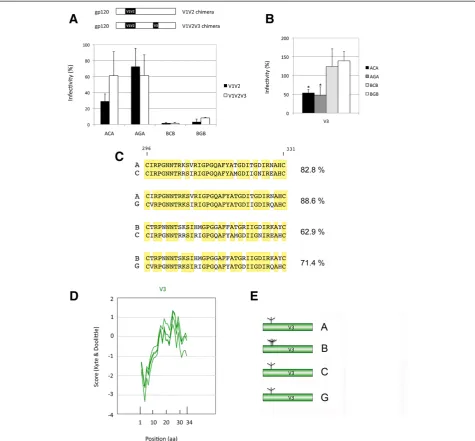 Figure 3 Effect of the presence of homologous V1V2 and V3 regions on the functionality of the chimeric envelopes.yellow background