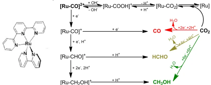 Figure 2. Schematic showing Ru(tpy)(bpy) catalyst and proposed reduction and protonation  pathways to production of CO, HC(=O)H, and CH 3 OH