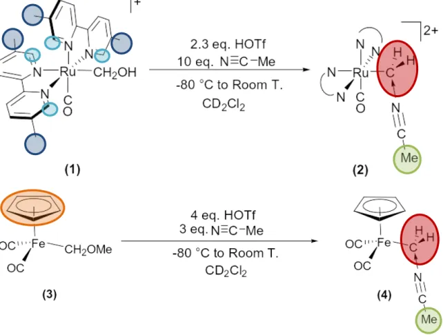 Figure 3. Typical reagent quantities (above arrow) and NMR conditions (below arrow) for  protonation reactions of both analog systems, (1) and (3), showing structures of proposed  acetonitrile ylide products, (2) and (4)