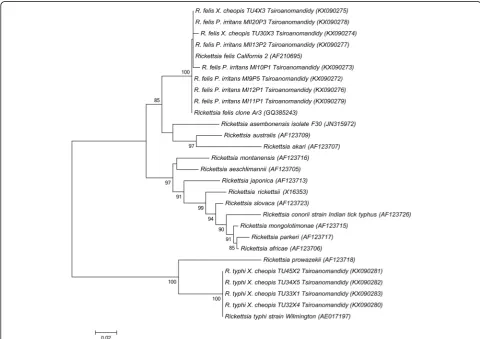 Table 2 Detection of rickettsial DNA in fleas collected from rodents and houses from Tsiroanomandidy, Madagascar