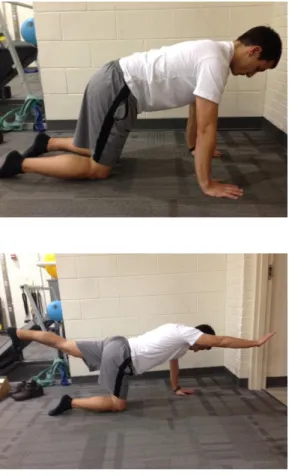 Figure 8: Quadruped 