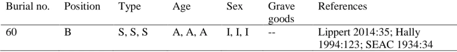 Table 6. Mound VI Burial. 