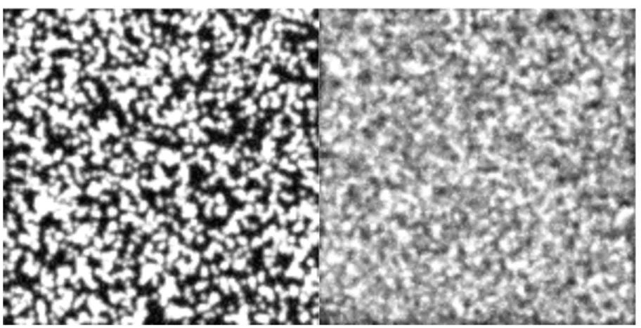 Figure 1. (Left) Sample frame from simulated bead dataset with 100nm beads. (Right)  Sample frame from simulated bead dataset with 10nm beads
