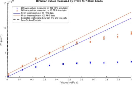 Figure 4. Measurement of 1/D by STICS for simulated 100nm bead datasets shows an  expected linear region in both the 100 FPS and 25 FPS simulations with only a 5% 