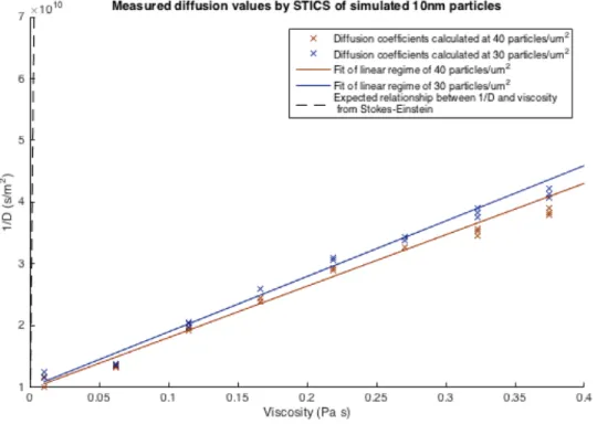 Figure 5. Measurement of 1/D by STICS for simulated 10nm particles shows a linear  regime with respect to viscosity