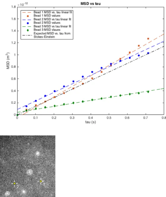 Figure 6. (Top) MSD vs.  τ plot for the 3 beads identified in the experimental setup  pictured in the bottom image