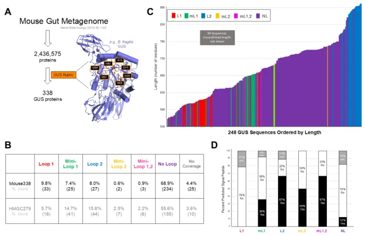 Figure 1. Mouse GI Microbial GUS Enzyme Identification, Localization, and Composition