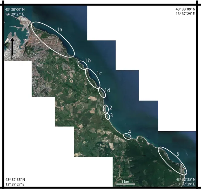 Figure 3 Sub-regions of study. These regions were created based on their lithology and the  orientations of the structures