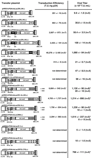 Figure 1cistransduction efficiencyciencySchematic of a panel of transfer plasmids containing different -acting DNA elements: Role on viral titer and transduction effi-Schematic of a panel of transfer plasmids containing different cis-acting DNA elements: R
