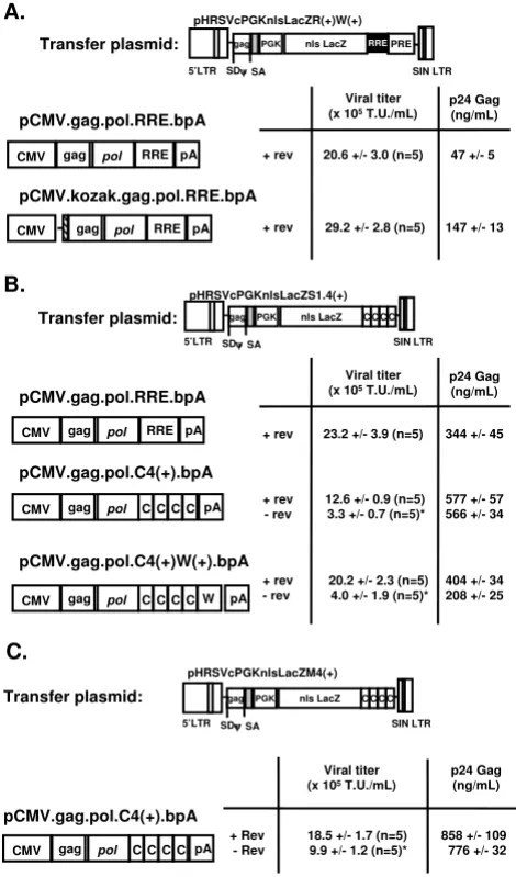 Figure 4ing constructsSchematic and viral titer of different lentiviral vector packag-Schematic and viral titer of different lentiviral vector packaging constructs