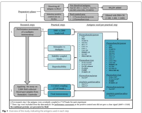 Fig. 1 Overview of the study, indicating the antigens used in each step