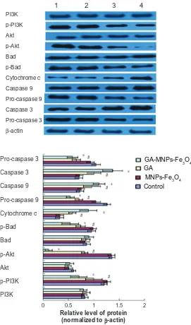 Figure 6 Expression of PI3K, p-PI3K, Akt, p-Akt, Bad, p-Bad, cytochrome c, pro-caspase 9, caspase 9, and pro-caspase 3, caspase 3 proteins in LOVO cells after treatment comprising GA with or without MNPs-Fe3O4 for 48 hours.Notes: Lane 1, control; lane 2, 6