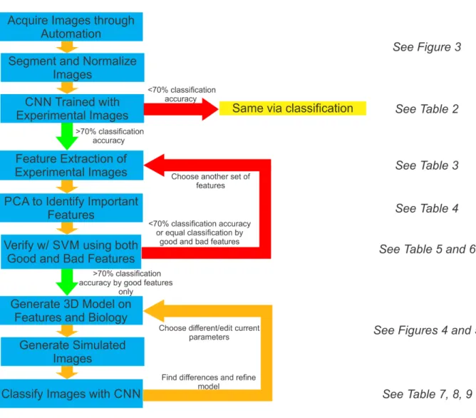 Figure 1. Graphical representation of the pipeline. Blue boxes denote steps in the pipeline and yellow boxes denote termination points