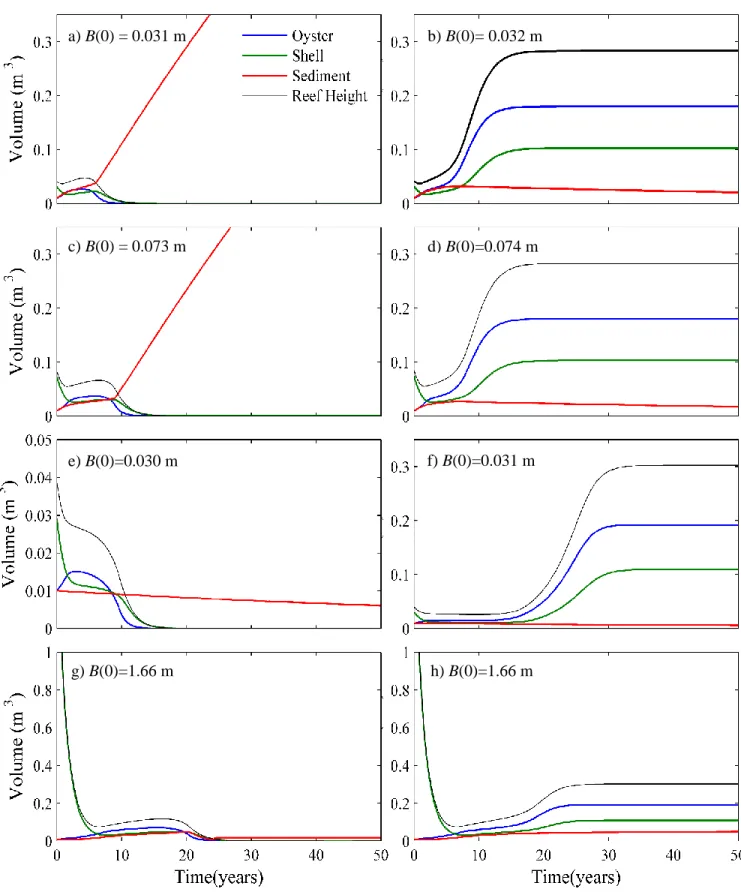 Figure 2 :  Evolution of oyster, shell and sediment volumes after each model revision
