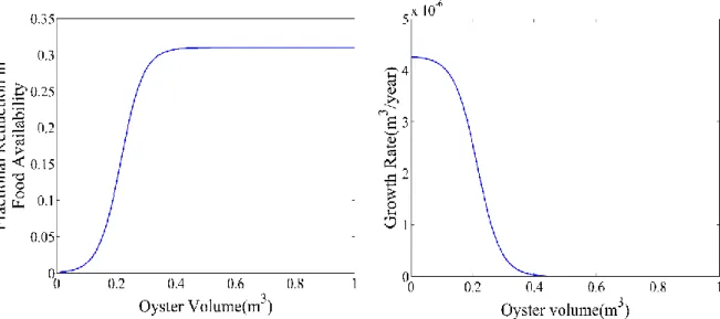 Figure 5: Left panel shows how the fractional food availability changes in response to oyster volume
