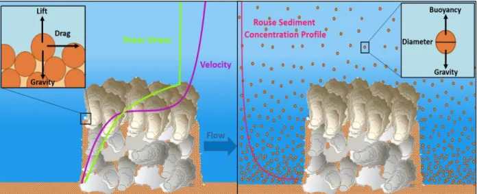 Figure 7: Schematic diagrams of the processes included in the revised sedimentation term