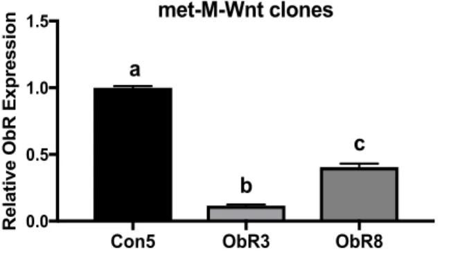 Figure 5. Met-M-Wnt relative Lepr (ObR) expression following Lepr knockdown by shRNA. 