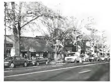 Figure 1. Franklin Street in Chapel Hill, NC is a