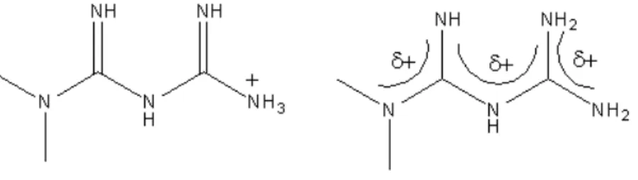 Figure	  1:	  Metformin	  