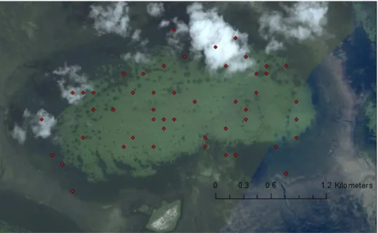Figure 3: Mystery Basin's sampling sites are symbolized by the red dots where one dot is one sampling station