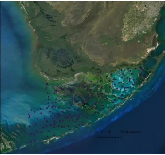 Figure 1: Florida Bay is the body of water located between mainland Florida and the Florida Keys
