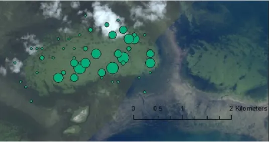 Figure 2: Geodia gibberos in Mystery Basin. The size of the green dots corresponds with the abundance that is found at that sampling station; larger dots mean more abundance was present at the time of sampling.