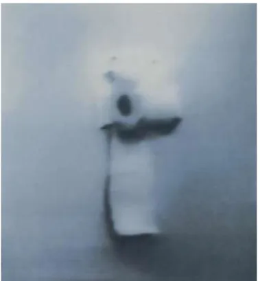 Figure 2  Gerard Richter 