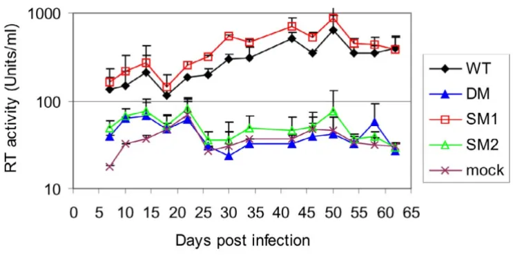Figure 4Mutations in the HIV-2 packaging signal affect replication of HIV-2 in T-cellsthe RT activity every 4 days