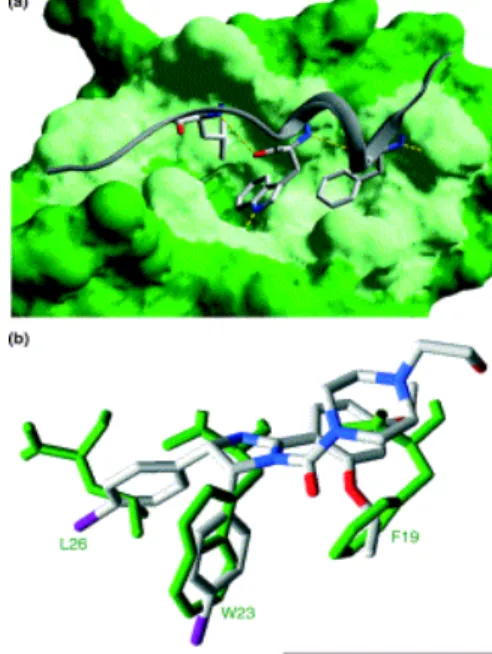 Figure 2. p53-HDM2 interaction as  a drug target.  (A) The interaction  between the E3 ligase HDM2 (green)  and the amino acid residues of a  p53-binding domain (grey, blue, red)