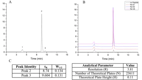 Figure  7.  Experimental  characterization  of  HPLC  separation  conditions.    A)  A  sample  HPLC  trace  of  p53  v11  parent  (1)  and  ubiquitinated (2) peptide were identified by the numbered peaks B) Control  experiments,  comprised  of  assay  con