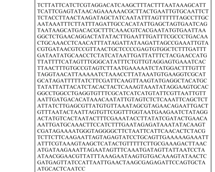 Table 2. The sequence source, primers and restriction enzymes for construct preparation 
