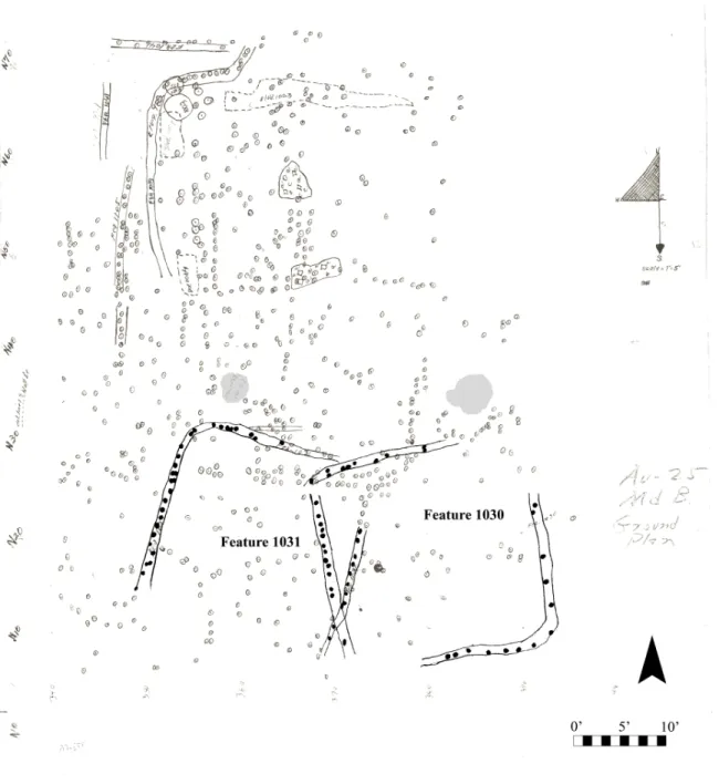 Figure 11. Features under Mound B, Baptiste site. Pit features associated with structures are colored gray