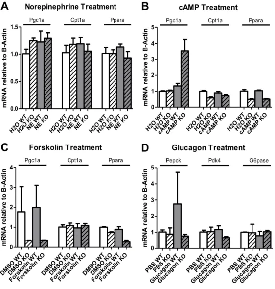 Figure 3. Hormone Treatment Gene Expression (Experiment 1) 