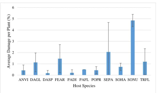 Figure 17. Comparison of damage between species, with standard error bars. The differences in damage between  the plant species are not statistically significant