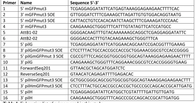 Table 1. Exhaustive list of primers used in this study. 