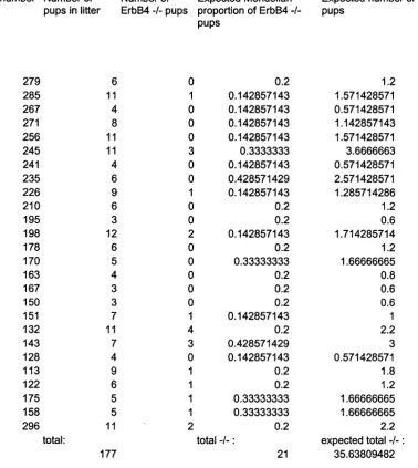 Figure 3.5a Actual and expected numbers of ErbB4 -/-pups from ErbB4 +/ - mothers.