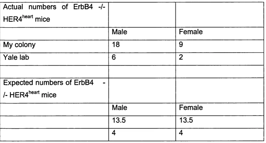 Figure 3.6 Fewer ErbB4 -/- mice are female than expected.